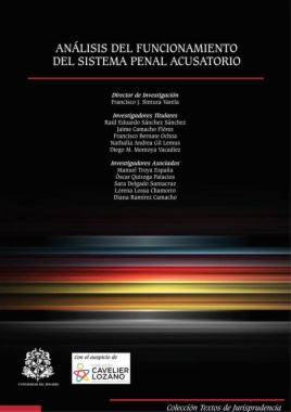 Análisis del funcionamiento del Sistema Penal Acusatorio