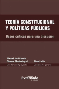 Teoría constitucional y políticas públicas : bases críticas para una discusión