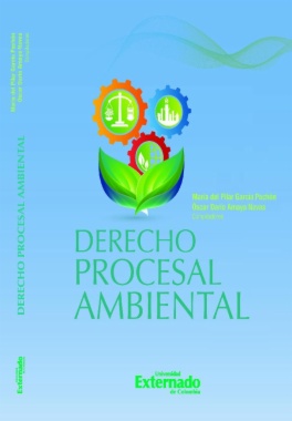 Derecho procesal ambiental