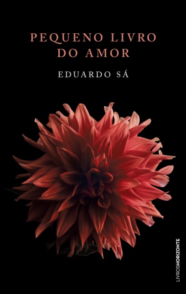 Pequeno Livro do Amor