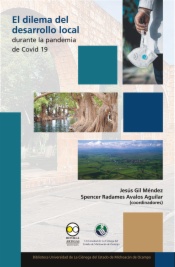 El dilema del desarrollo local durante la pandemia de Covid 19