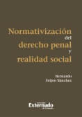 Normativización del derecho penal y realidad social
