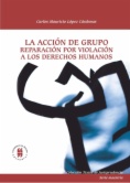 La acción de grupo : Reparación por violación a los derechos humanos