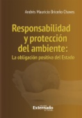 Responsabilidad y protección del ambiente: La obligación positiva del Estado