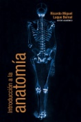 Introducción a la anatomía