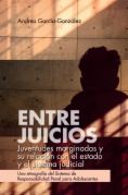 Entre juicios: juventudes marginadas y su relación con el estado y el sistema judicial