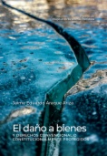 El daño a bienes y derechos convencional o constitucionalmente protegidos