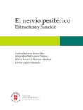 El nervio periférico: Estructura y función