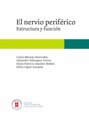 El nervio periférico: Estructura y función